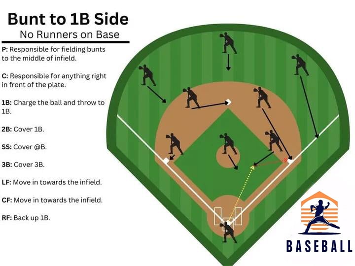 🎁Last Day Promotion 49% OFF🔥Baseball Softball Defensive Situations Guide Flip Book & Full Size Comprehensive Resource for Coaches Players Enthusiasts