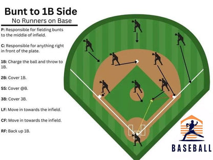 🎁Last Day Promotion 49% OFF🔥Baseball Softball Defensive Situations Guide Flip Book & Full Size Comprehensive Resource for Coaches Players Enthusiasts